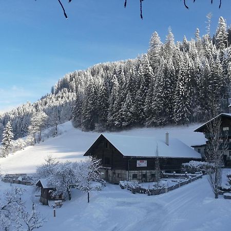 Appartement Ferienhof Ortnergut Eben Im Pongau Exterior photo