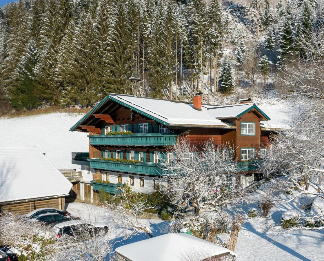 Appartement Ferienhof Ortnergut Eben Im Pongau Exterior photo