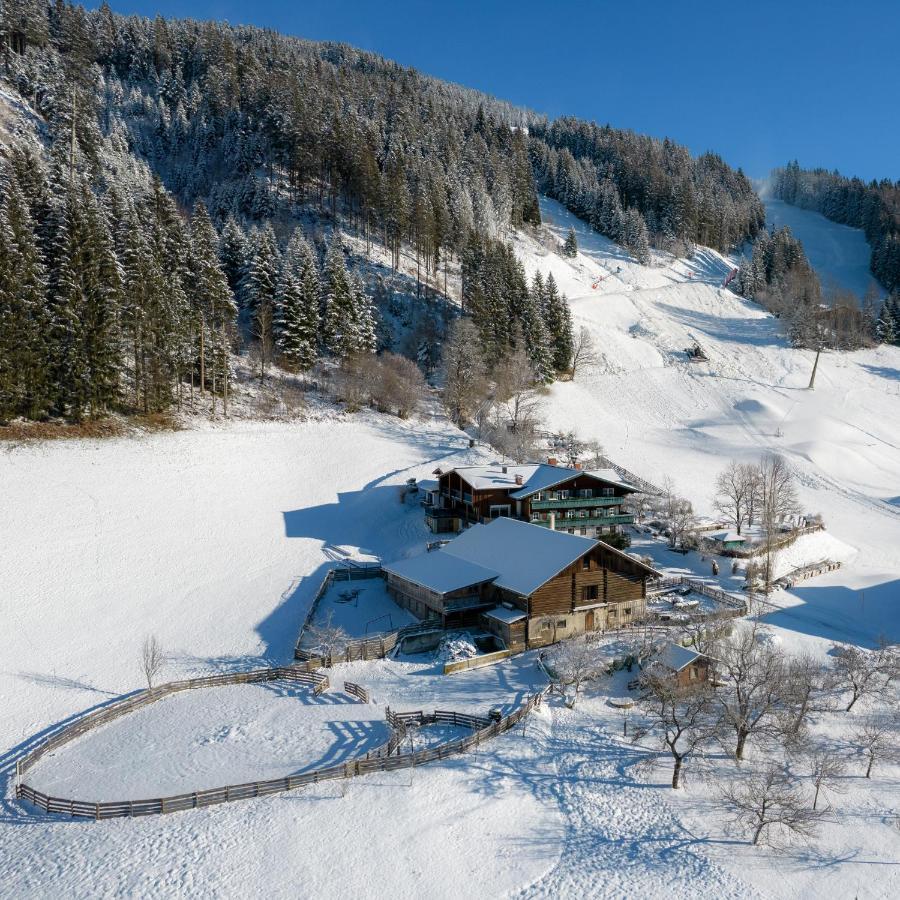 Appartement Ferienhof Ortnergut Eben Im Pongau Exterior photo