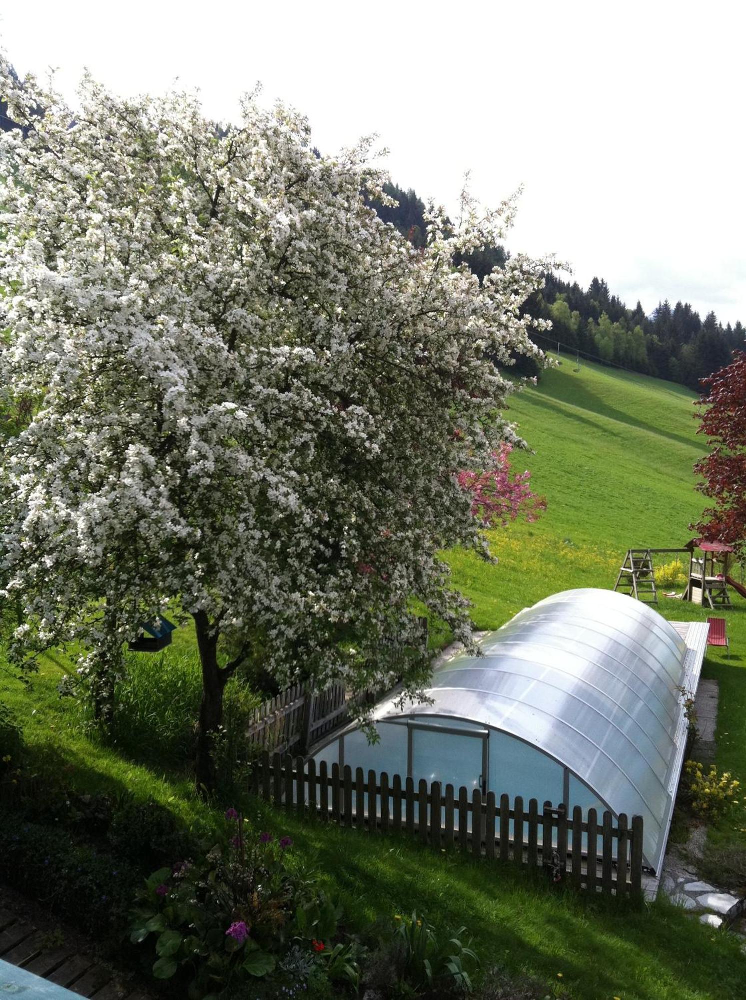 Appartement Ferienhof Ortnergut Eben Im Pongau Exterior photo