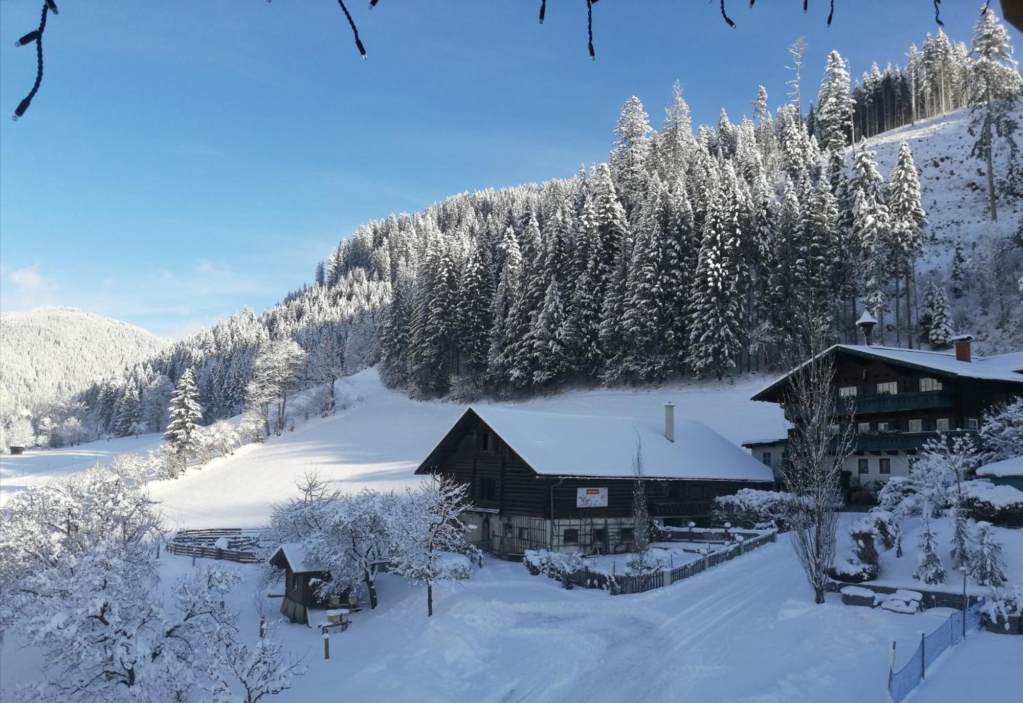 Appartement Ferienhof Ortnergut Eben Im Pongau Exterior photo