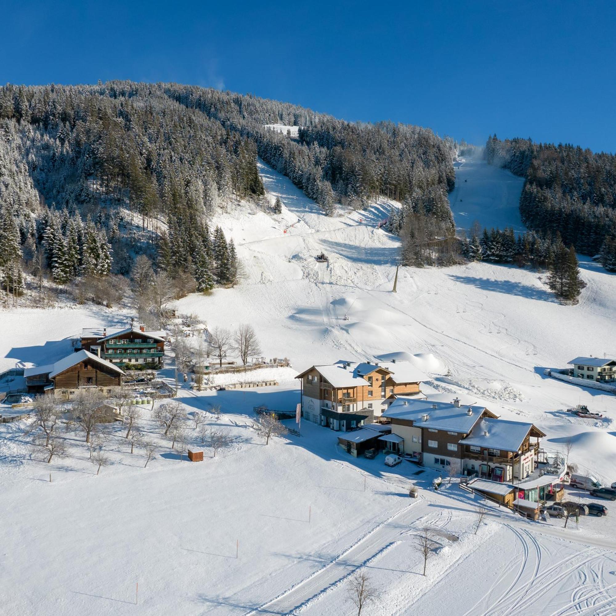 Appartement Ferienhof Ortnergut Eben Im Pongau Exterior photo