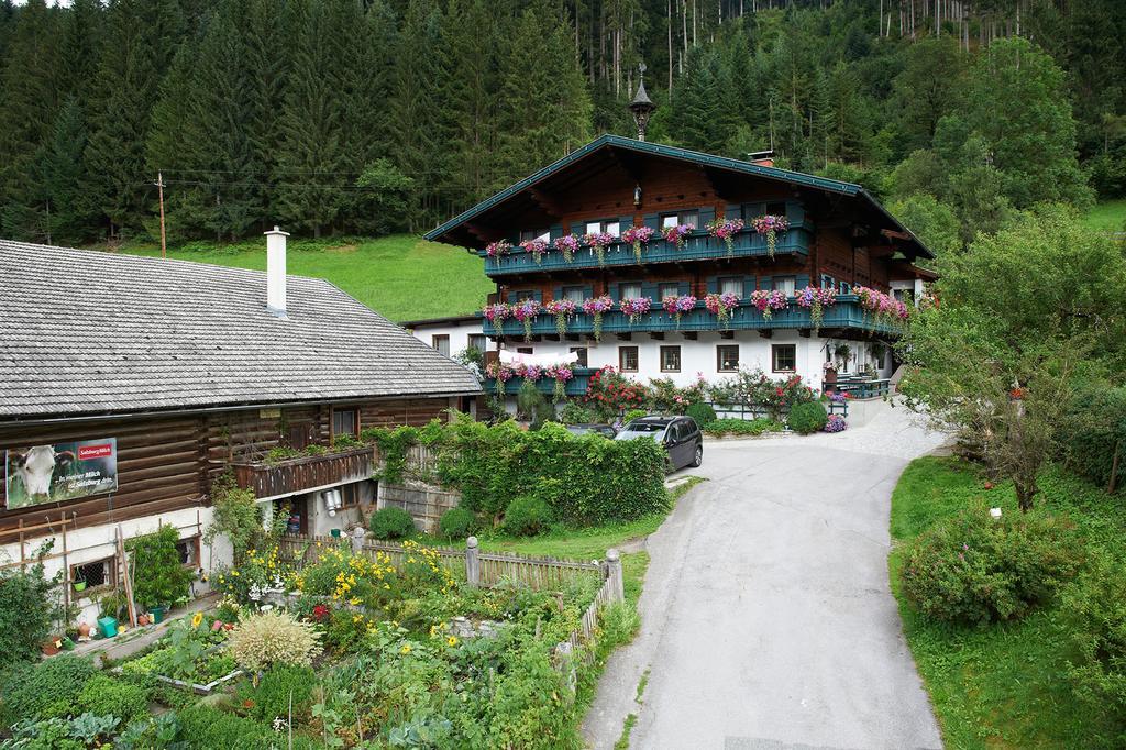 Appartement Ferienhof Ortnergut Eben Im Pongau Exterior photo